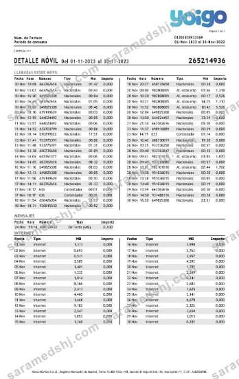 Spain Yoigo internet utility  bill in Word and PDF formats, 3 pages.